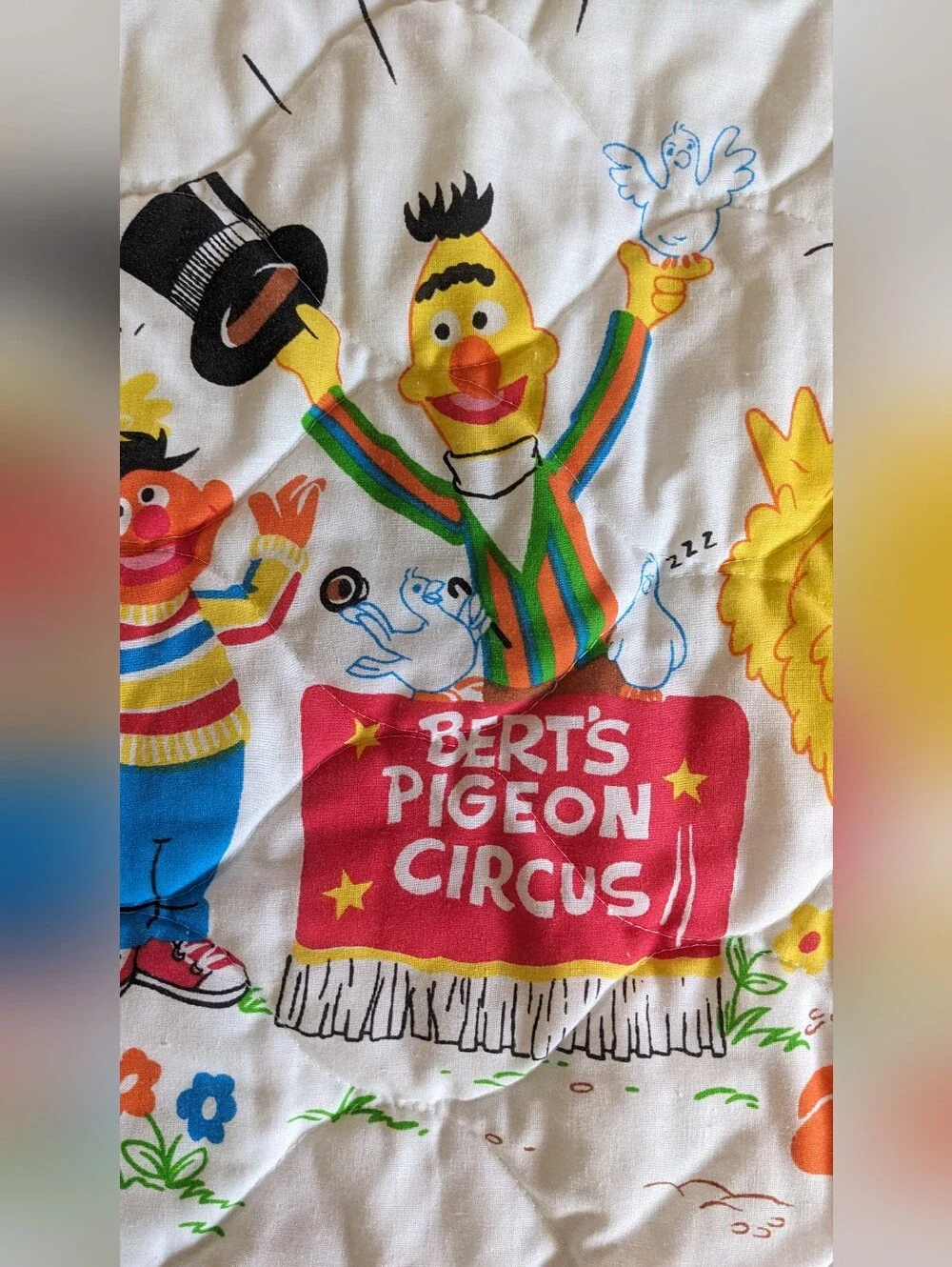 Sesame Street Ruffled Pillow Cover Vintage Bert's Pigeon Circus